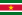 Suriname Icon.png