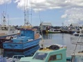 Barbados FishHarbor.jpg
