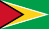 Guyanaflag.png