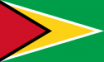 Guyanaflag.png