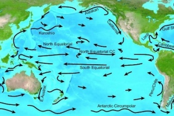 Pacific Ocean Current Chart