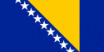 Bosnia and Herzegovina flag.png
