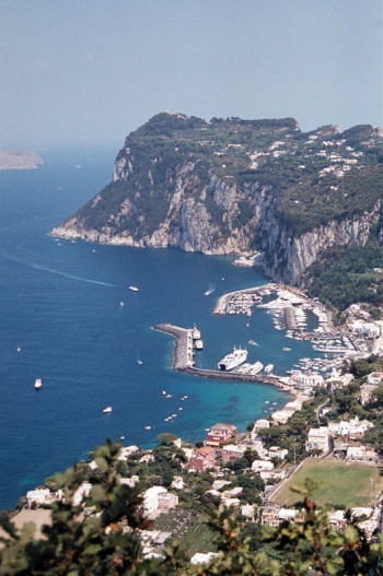 Capri Holdings - Wikipedia